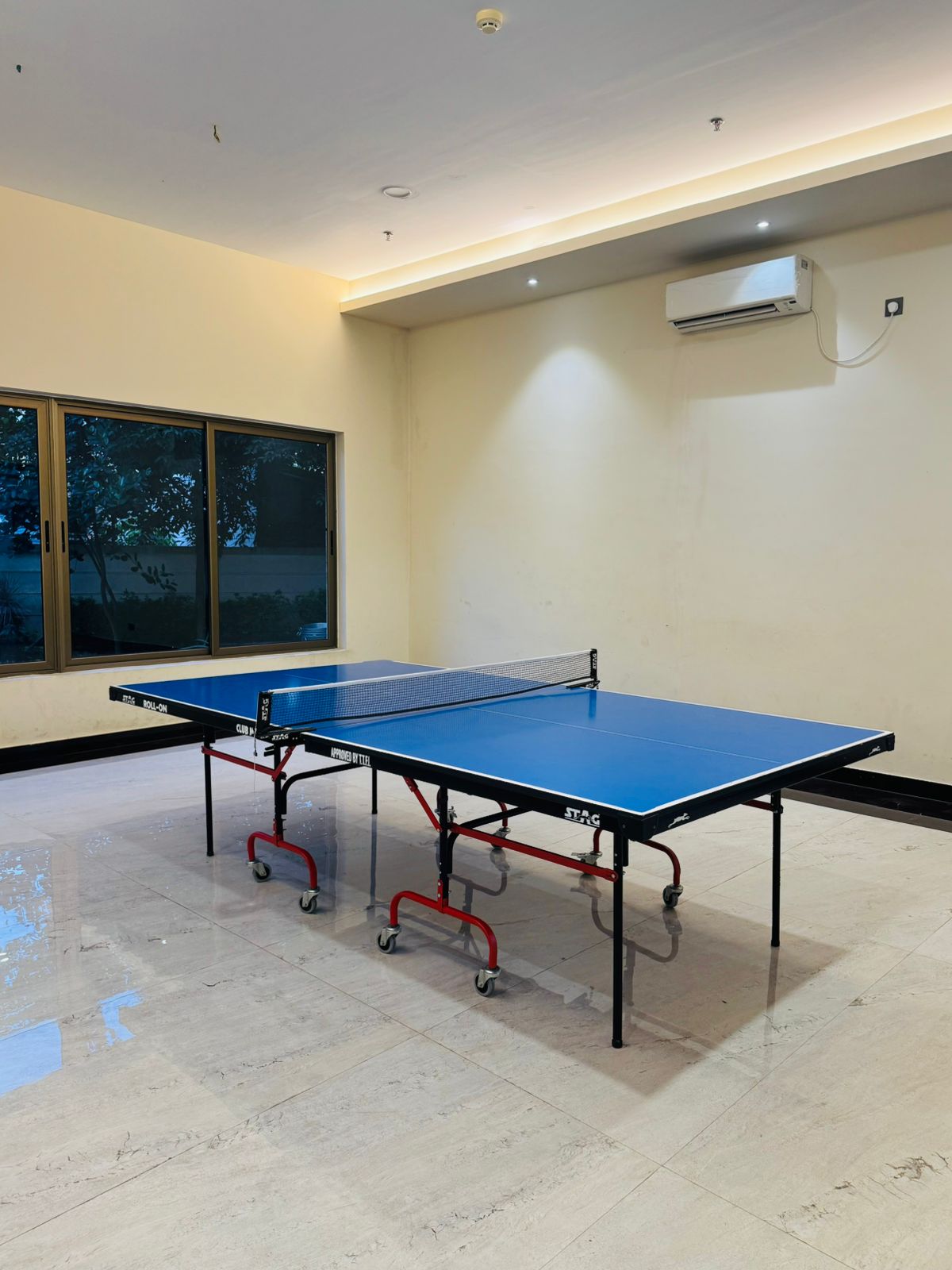 Table Tennis Room